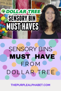Dollar Tree sensory bin pin
