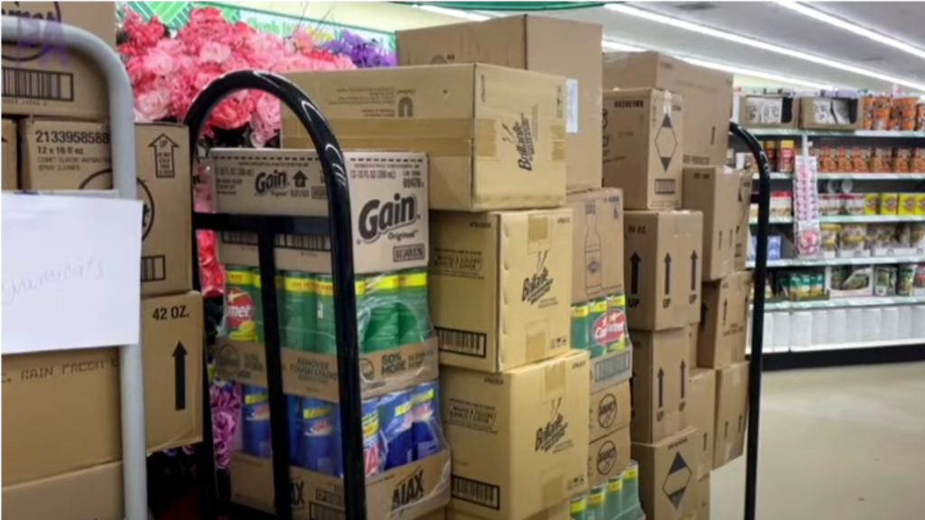 shopping at dollar tree